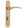 IVER OXFORD LEVER OVAL BACKPLATE