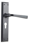 TRADCO DOOR LEVER MENTON PAIR