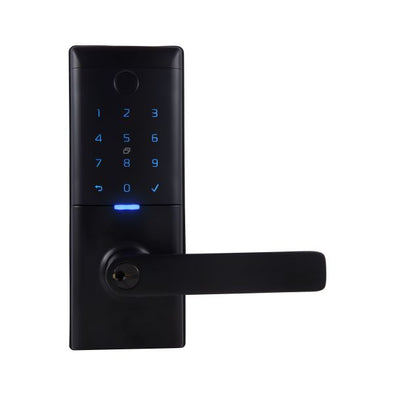 GAINSBOROUGH MODE SMART ENTRANCE LOCK